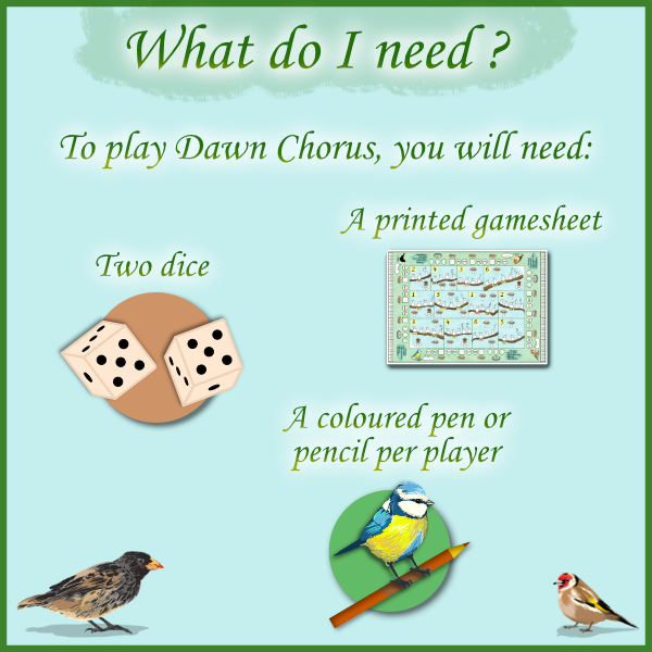 To play Dawn Chorus you need 2 dice, a printed game sheet, and a coloured pen or pencil per player.
