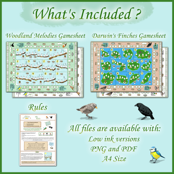 Dawn Chorus - Poster showing what is included. Print files
